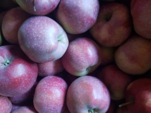 właścwości zdrowotne jabłek