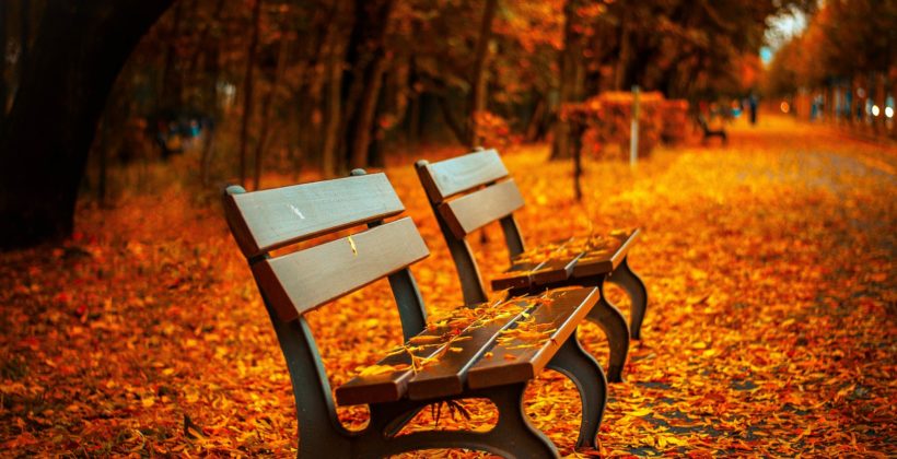 Jesień, płuca i jelito grube – jak być zdrowym o tej porze roku
